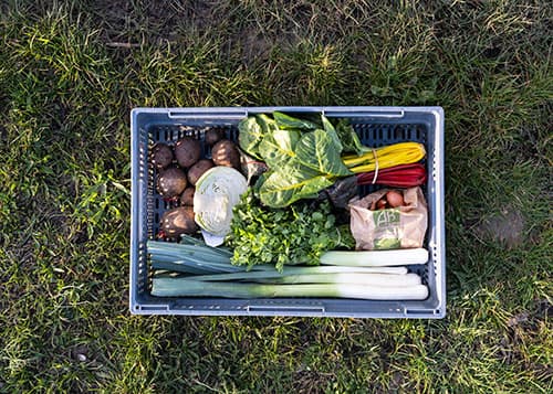 panier garni de produits du terroir