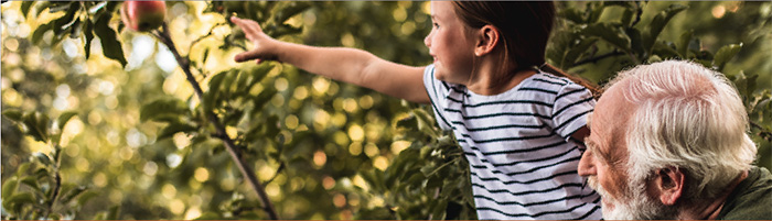 Grand-père portant sa petite fille pour l'aider à attraper une pomme