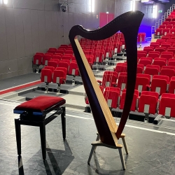 Masterclass au Palais des rencontres de Champagne-sur-Seine