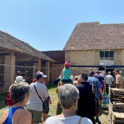 Visite guidée