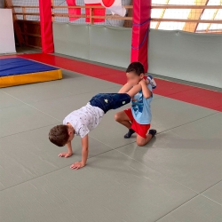 Arts du cirque