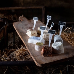 Les fromages  d'Armelle et Claire - photo Magali Delporte
