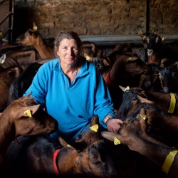Les fromages  d'Armelle et Claire - photo Magali Delporte
