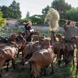 Les fromages  d'Armelle et Claire - photo Magali Delporte
