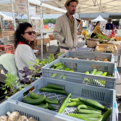 La ferme de Madame