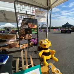 Laeti's Bees