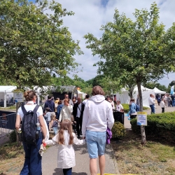 MSL en Fête MSL en Fête