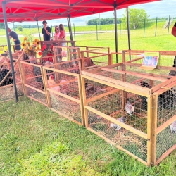Marché de Producteurs 2025 Marché de Producteurs 2025