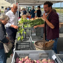 Marché de Producteurs 2025 Marché de Producteurs 2025