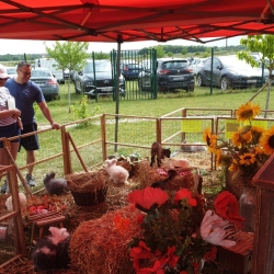 Marché de Producteurs 2025 Marché de Producteurs 2025