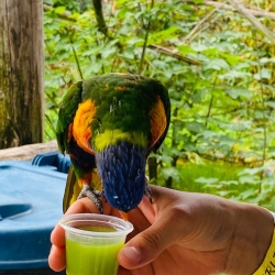 Sortie au zoo de Lumigny du 31/07