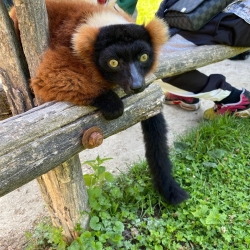 Sortie au zoo de Lumigny du 31/07