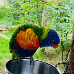 Sortie au zoo de Lumigny du 31/07