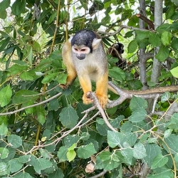 Sortie au zoo de Lumigny du 31/07