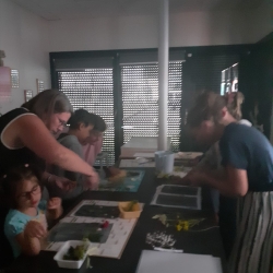 Atelier découverte - Cyanotype botanique