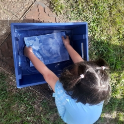 Atelier découverte - Cyanotype botanique