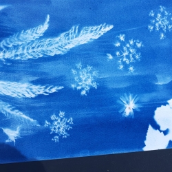 Atelier découverte - Cyanotype botanique