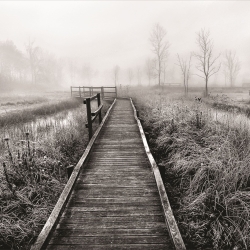 <strong>CAPC</strong>