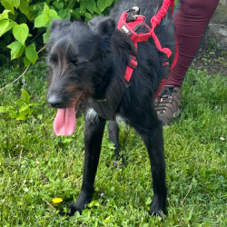 Randonnée MSL La Printanière 2026