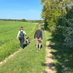 Randonnée MSL La Printanière 2026