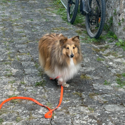 Randonnée MSL La Printanière 2026