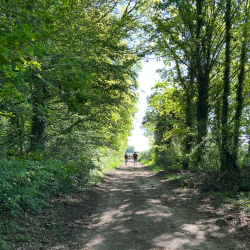 Randonnée MSL La Printanière 2026