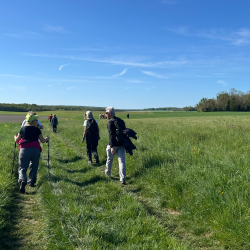 Randonnée MSL La Printanière 2026