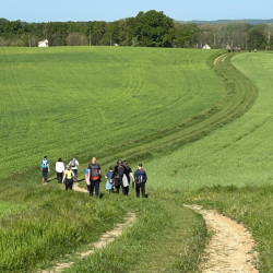Randonnée MSL La Printanière 2026