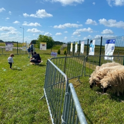 Marché des Producteurs locaux, Créateurs & Artisans