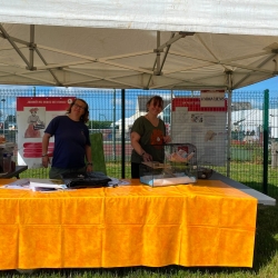 Marché des Producteurs locaux, Créateurs & Artisans