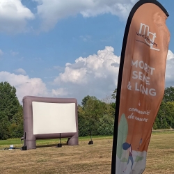 Cinéma en plein air  à Nonville