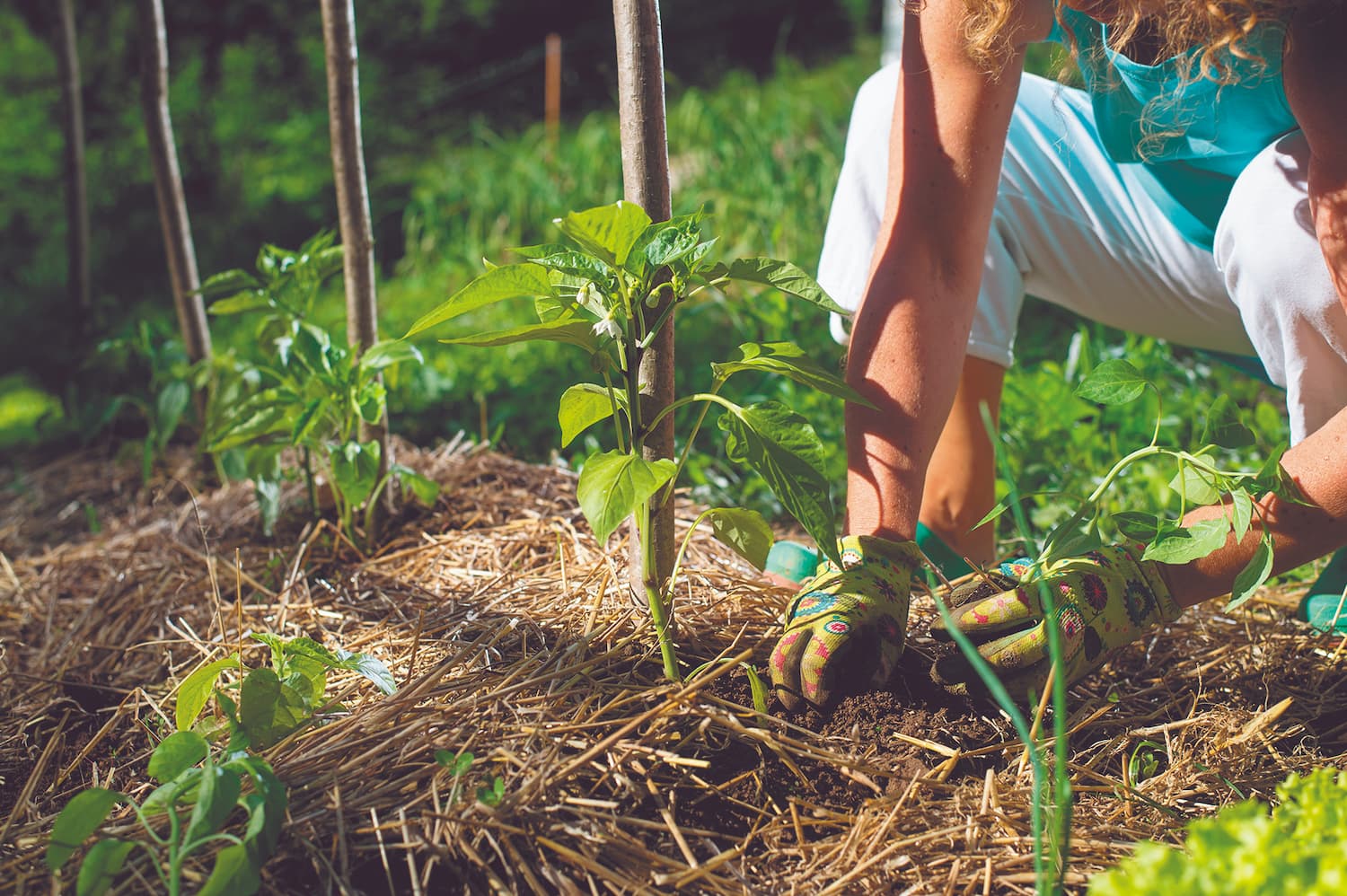 J’échange des bons plans jardinage