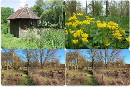 Future résidence sur le territoire du Moret-Loing-et-Orvanne, au sein de l'ENS "La prairie Clemenceau"