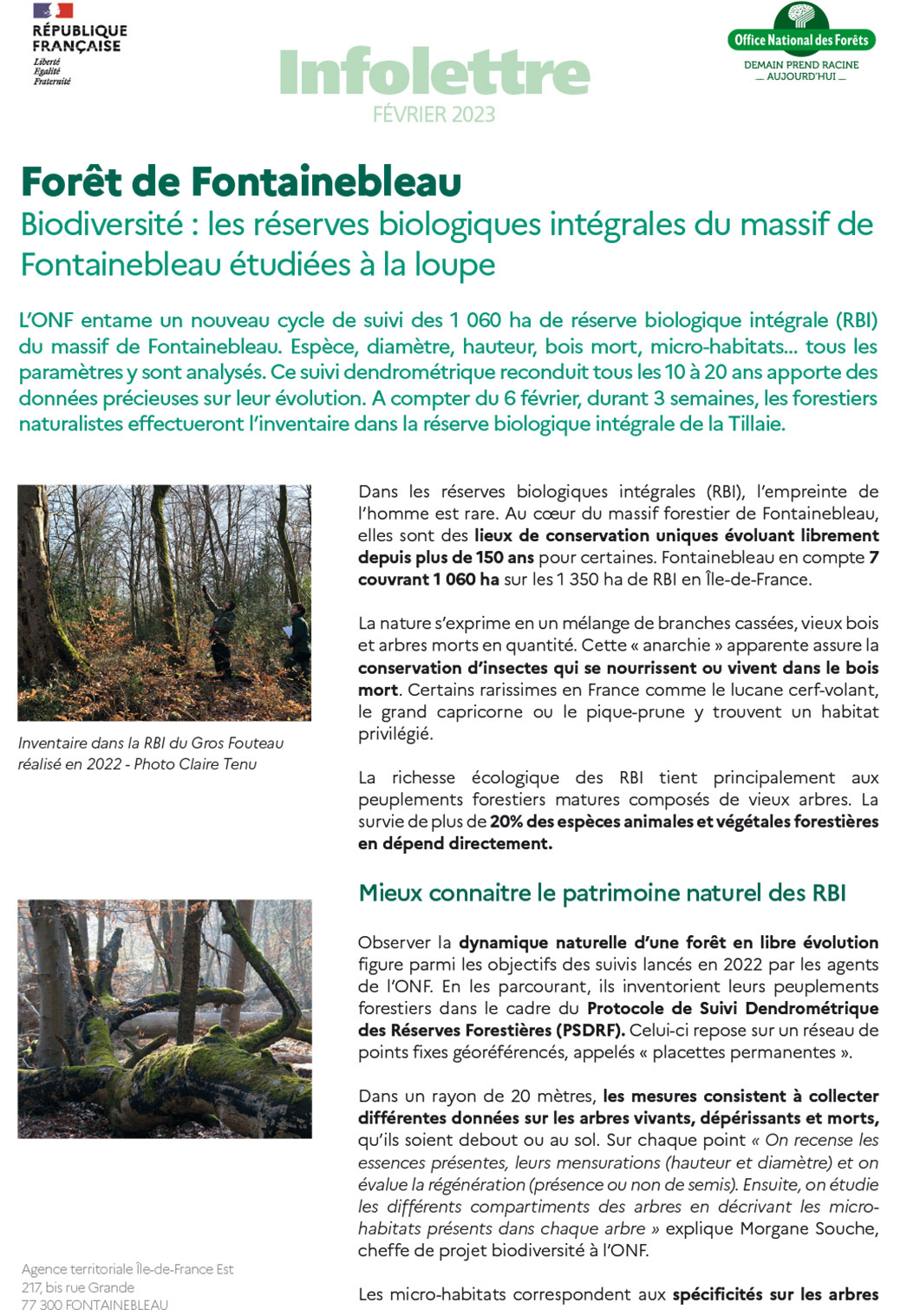 Biodiversité : les réserves biologiques intégrales du massif de Fontainebleau étudiées à la loupe